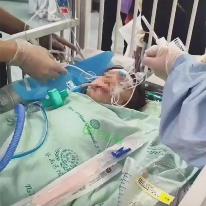 西安通報(bào)男童被惡犬咬傷：2人被刑拘