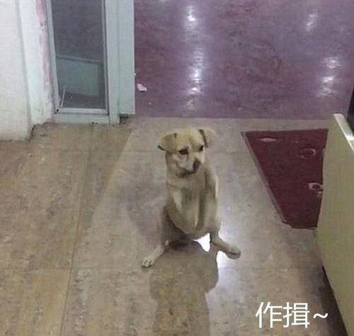 城南戀人 第30頁
