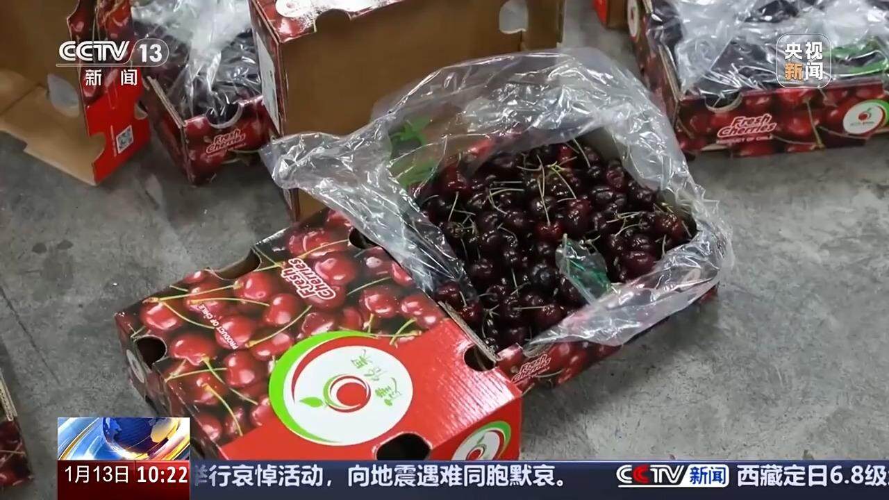 2萬噸智利車厘子運抵中國