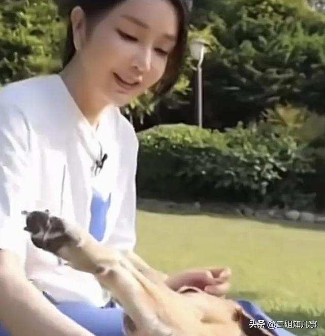 尹錫悅被捕后 金建希疑似出門遛狗