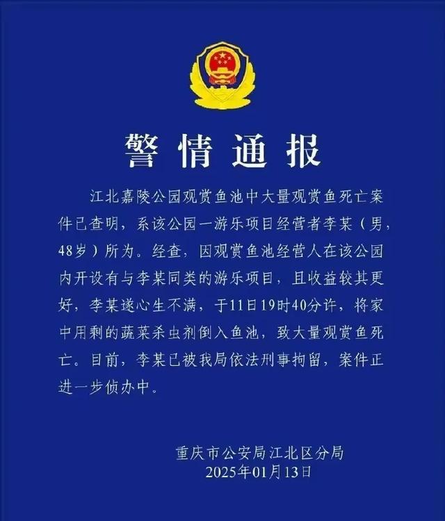 警方通報(bào)錦鯉大批死亡：人為投毒