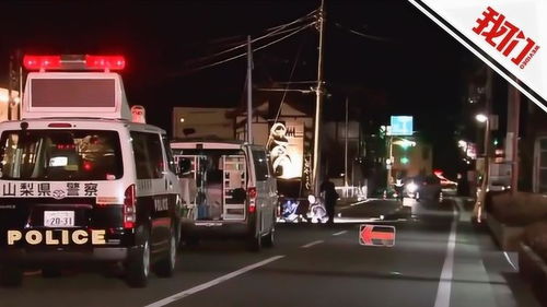 日本司機(jī)回應(yīng)兩中國(guó)游客遭列車(chē)撞擊