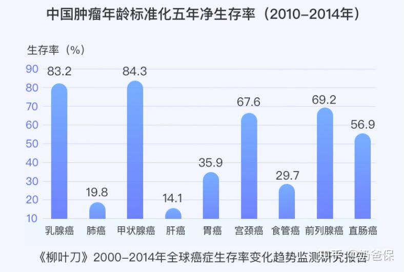 2025新奧精準資料免費大全078期,專業(yè)分析說明_靜態(tài)版44.62.99
