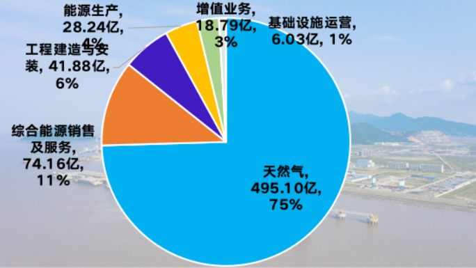 新奧2025年免費資料大全,全面執(zhí)行分析數據_XE版80.21.46