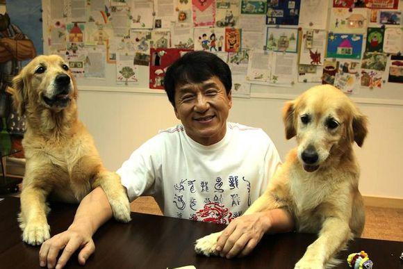 澳門天天彩全年正版資料,小孩哥考完試媽媽獎勵買狗