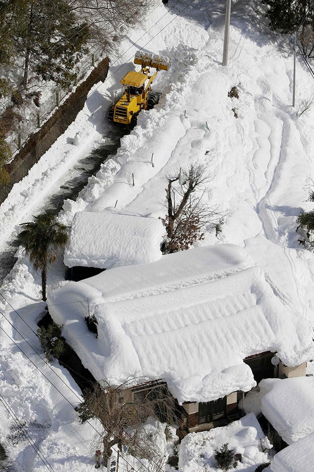 四肖選一肖免費(fèi)公開資料,日本北海道大雪 超過40個(gè)航班被取消