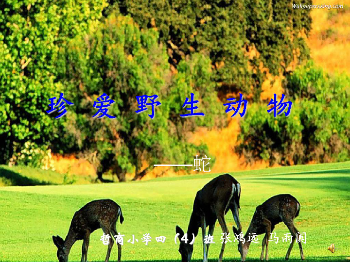 澳門玄機網(wǎng)官方開獎站一天一期獎時間230,投喂野生動物不是愛心而是災難