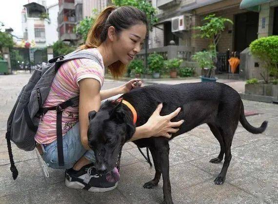 2025年新澳門資料,女網(wǎng)紅拿無(wú)人區(qū)救命糧喂狗