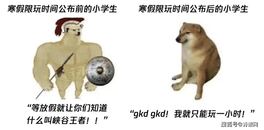 新澳門(mén)碼精準(zhǔn)資料,八旬老人靠游戲準(zhǔn)確養(yǎng)活動(dòng)物園