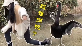 今期跑狗圖自動(dòng)更新新版,王德順回應(yīng)給無量仙翁配音