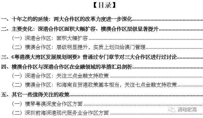 新澳2025正版資料大全與精細(xì)化策略定義的探討，實(shí)踐分析解釋定義_4DM66.32.35