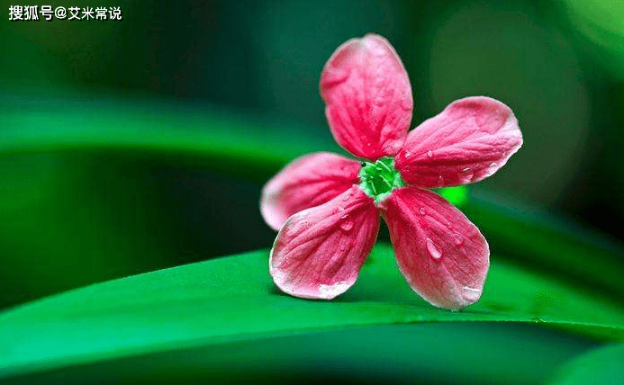 12生肖買馬最準(zhǔn)的網(wǎng)站2025年,男子補(bǔ)牙時(shí)種植鉆頭掉進(jìn)嘴巴里深層策略執(zhí)行數(shù)據(jù)_版齒78.26.37