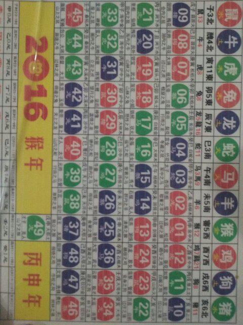 忘東忘西不忘你