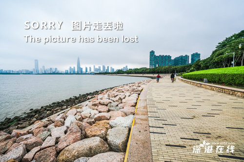 25年十二生肖的49個號碼,網(wǎng)友：初六回杭州已經(jīng)堵了仨小時經(jīng)典解答解釋定義_版畫85.37.49