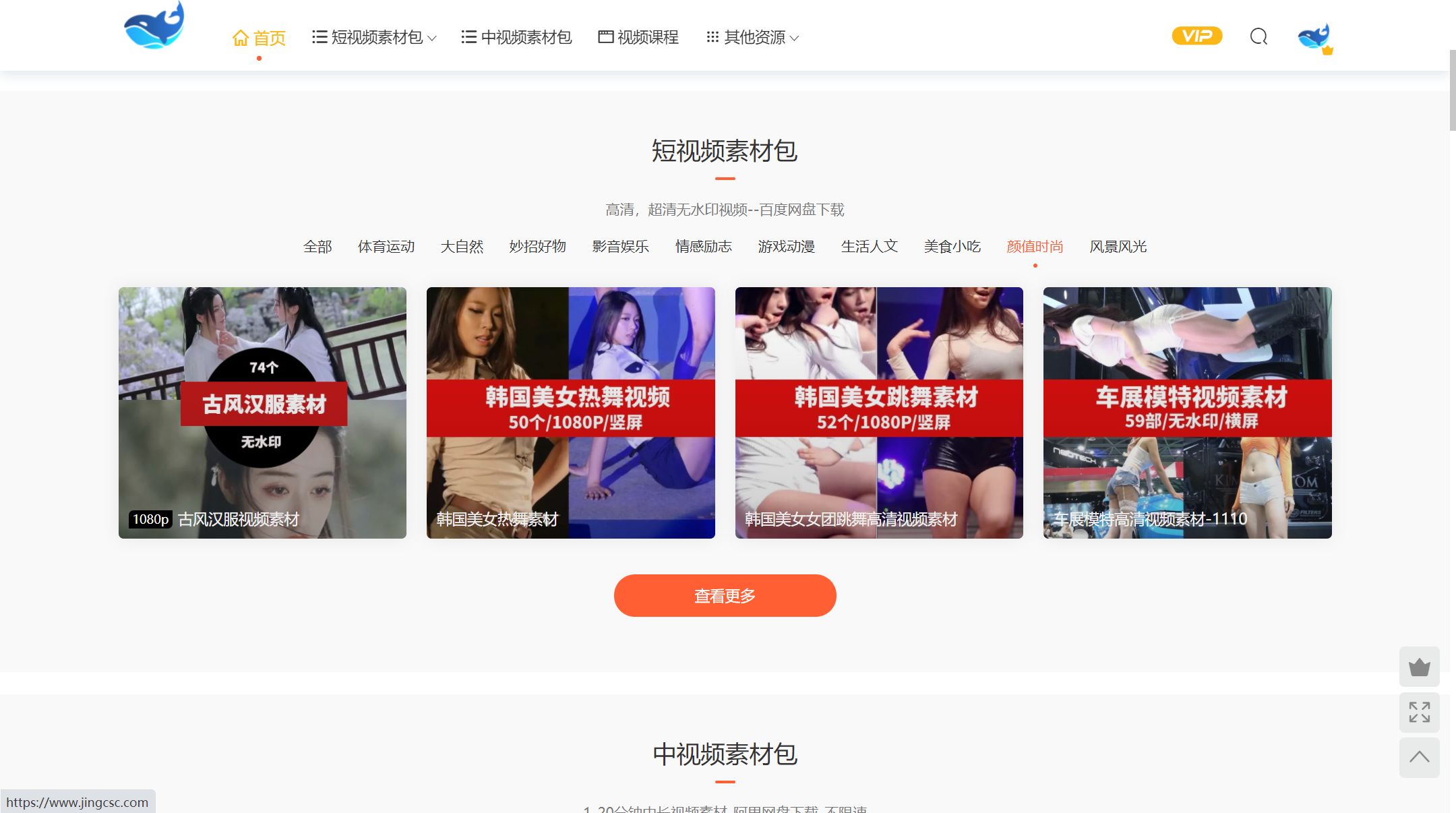 新澳門2025免費資料大全集,TikTok重返美應用商店后下載量翻倍實踐性策略實施_翻版44.34.90