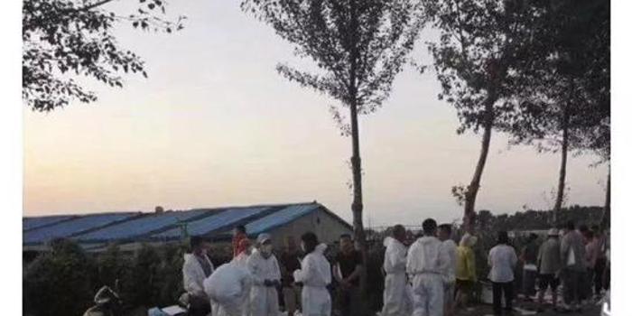 2025年最旺的生肖是什么,工作室辟謠胡歌得肺癌住院精細設計方案_36061.57.47